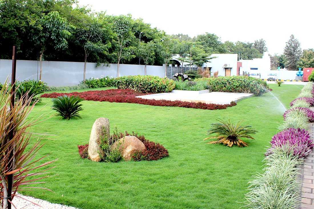 Environment